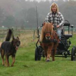 inge van der woude avatar