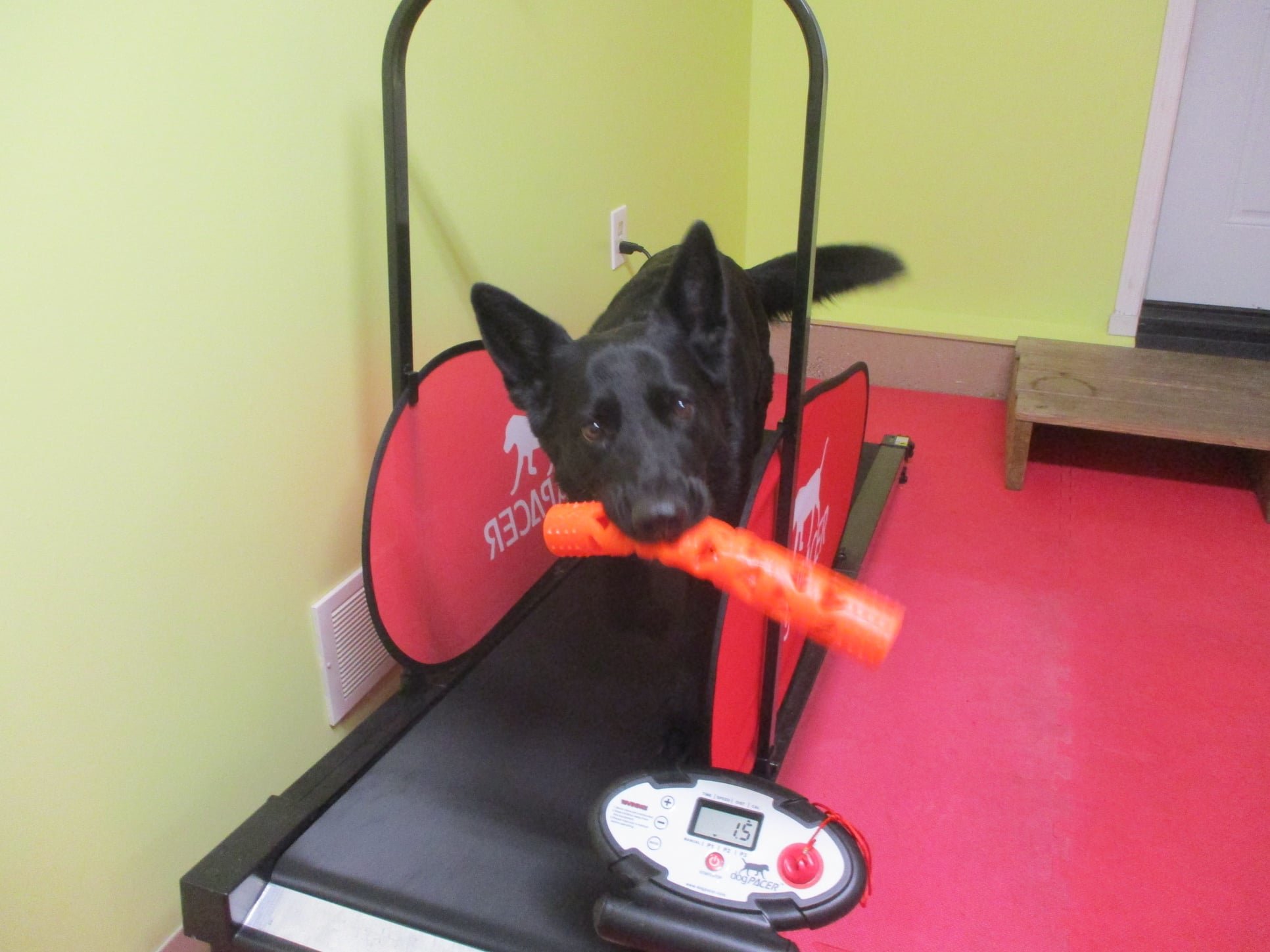 Heather Staas cover photo